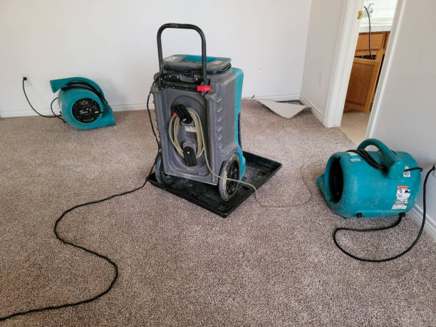 Best Basement water damage restoration  in Sparks, GA