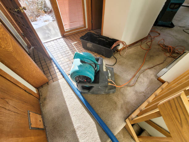 Best Ceiling water damage repair  in Sparks, GA