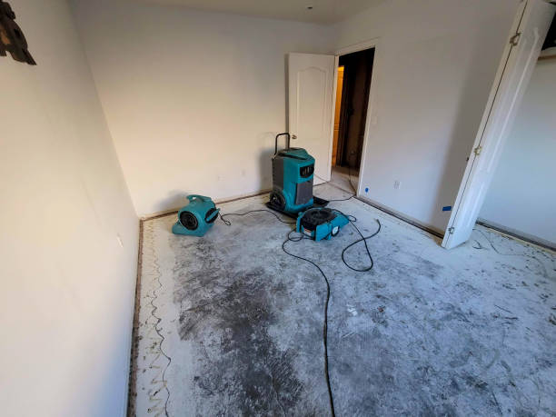 Best Professional water damage repair  in Sparks, GA