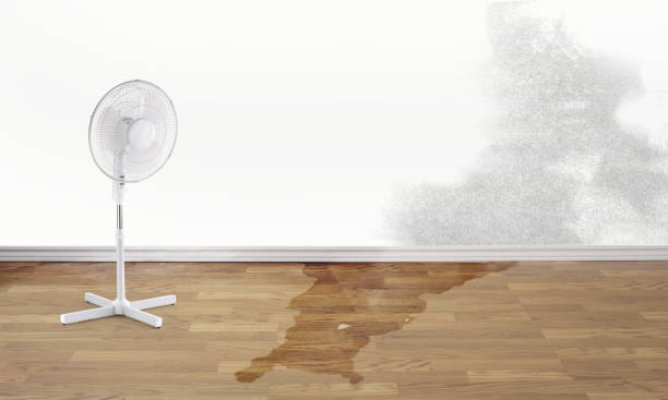 Best Flood damage cleanup  in Sparks, GA
