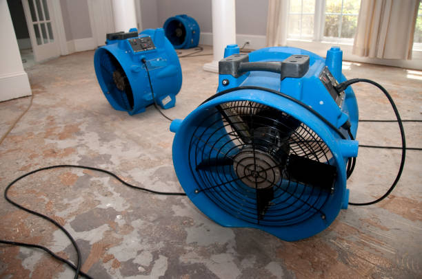 Best Water damage restoration near me  in Sparks, GA