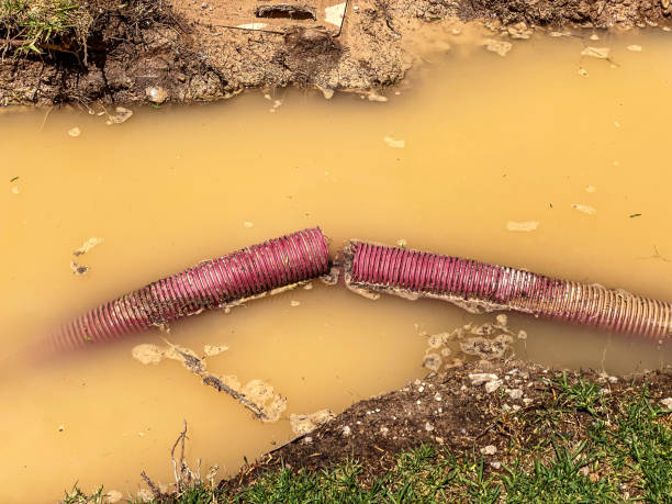 Best Mold removal after water damage  in Sparks, GA