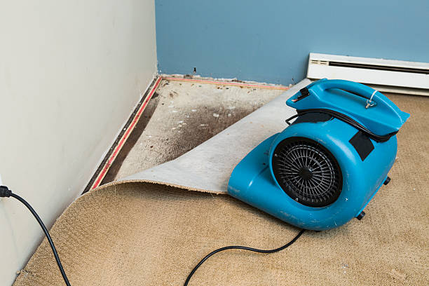 Best Water damage contractors near me  in Sparks, GA